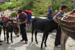 Rifugio-Meggiana-010
