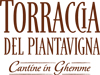 Torraccia-di-Piantavigna