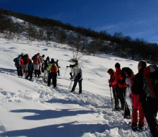 Ciaspolata notturna FIOCCHI DI LUNA – FOBELLO VALSESIA sabato 31 gennaio 2026