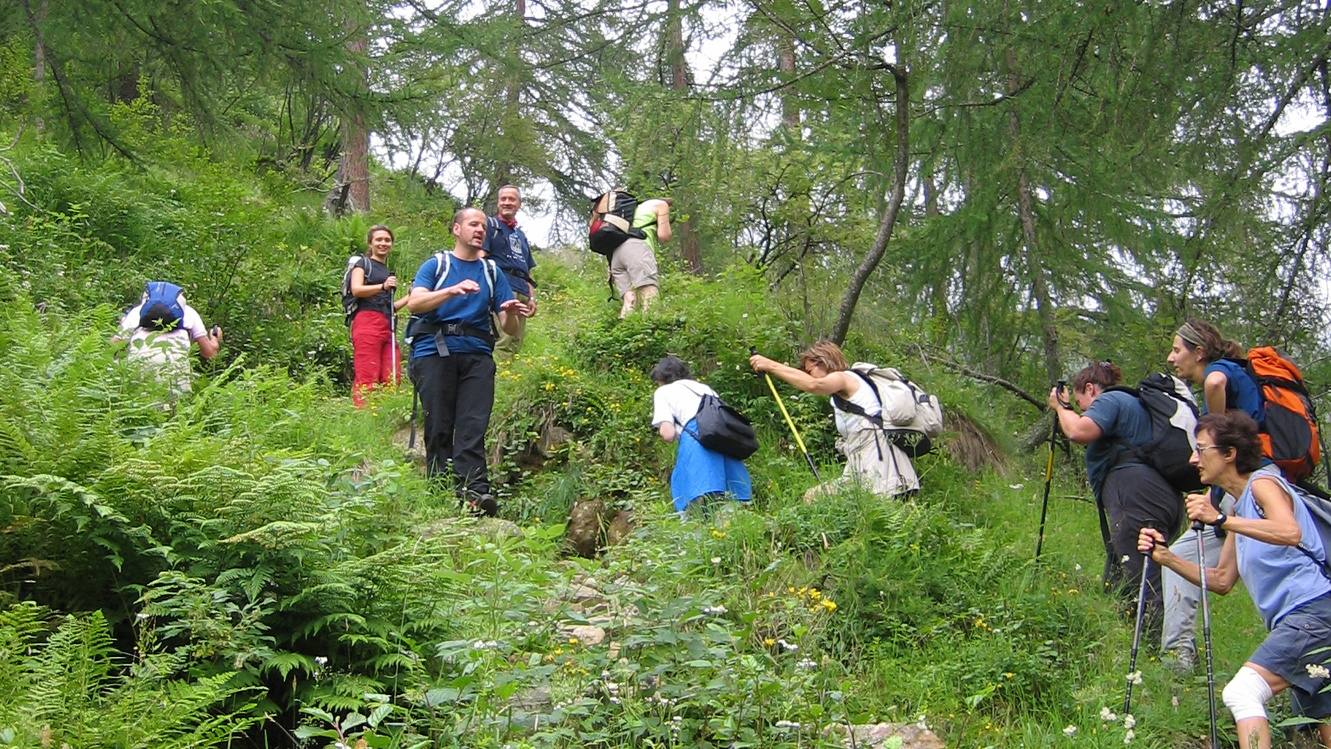 mountain-planet TREKKING